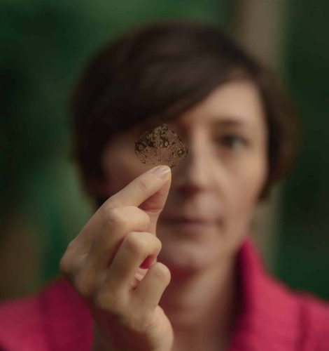 A shamanic healer in Ireland gently cradles a small piece of dirt, harnessing its ancient mystical powers for spiritual healing.