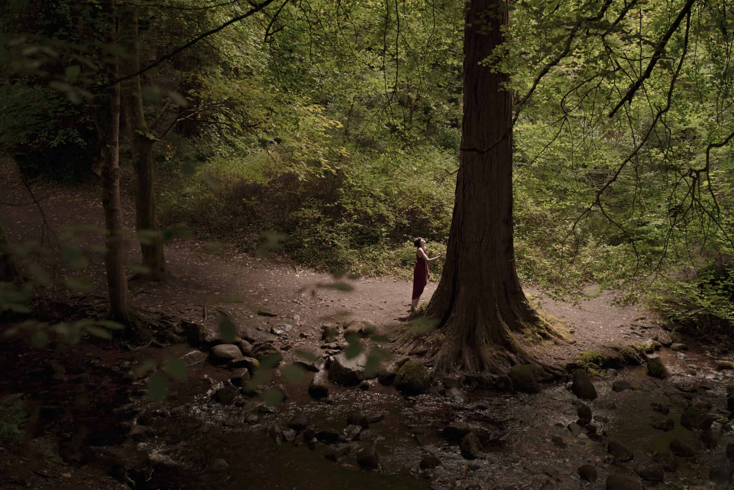 A person standing next to a tree in a wooded area.