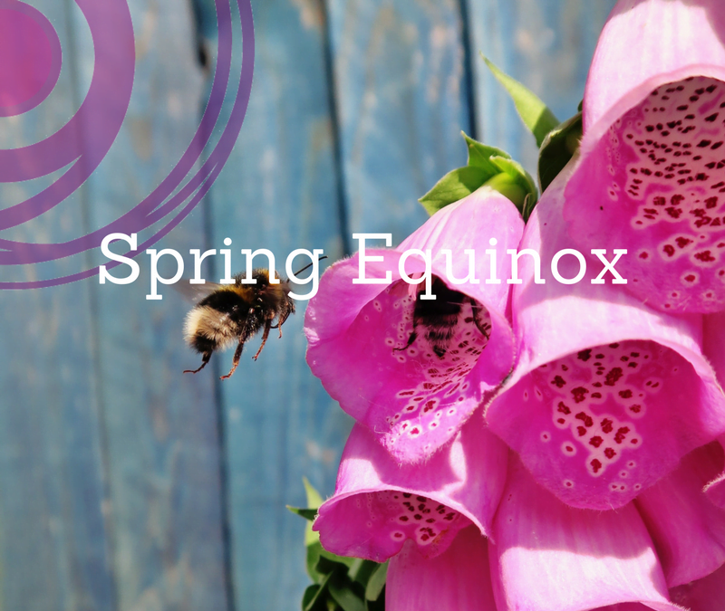 Spring Equinox: A Call for Rebirth & Renewal