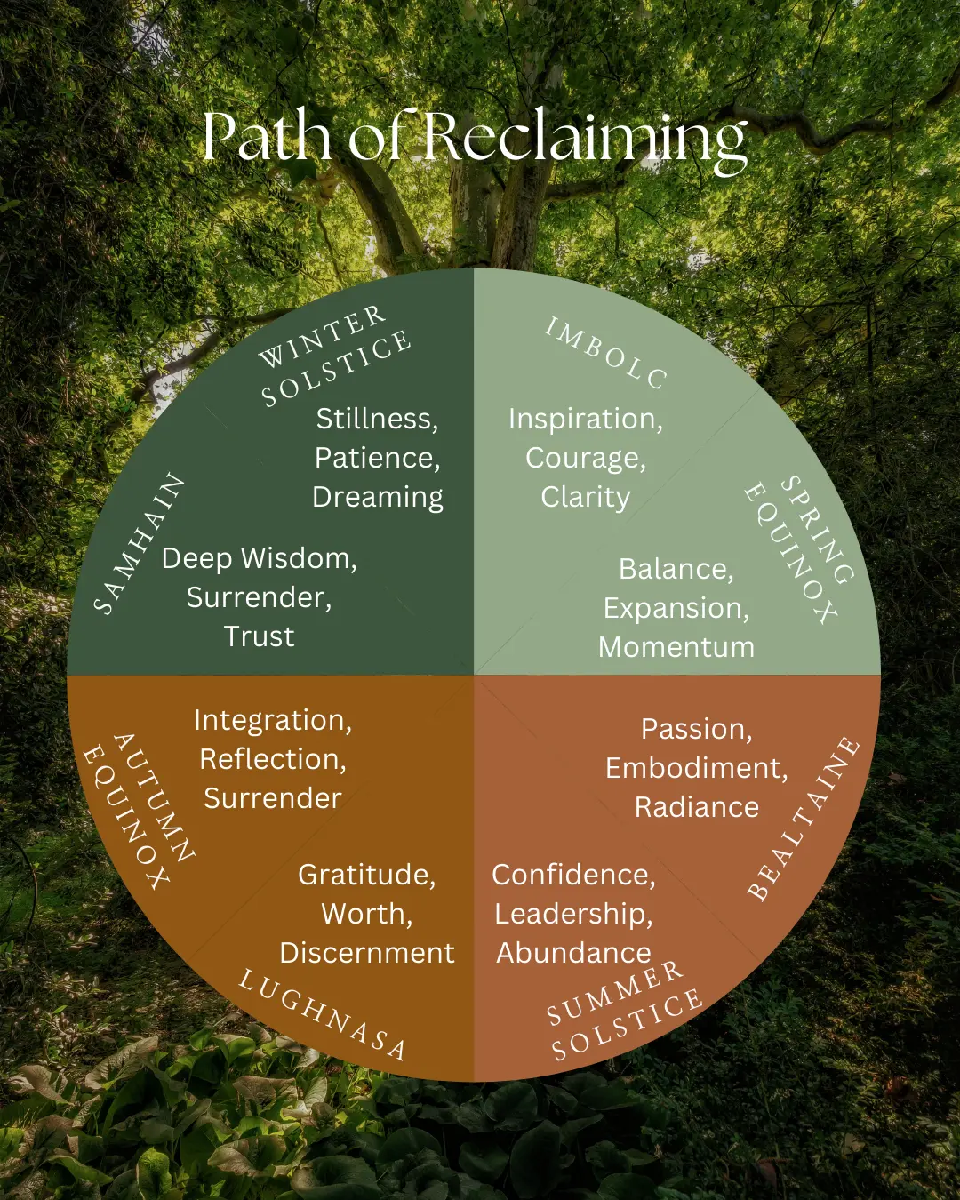 Copy Of Copy Of Advent Day2 (1080 X 1350 Px)(3)