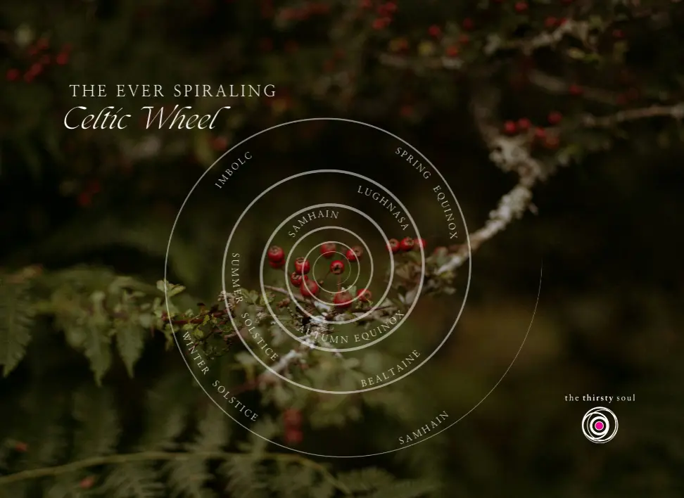 Copy Of Copy Of Advent Day2 (972 X 708 Px)